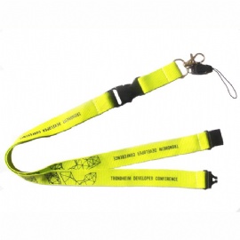 Lanyard